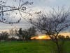 Sunset in Orchard Park, Sacramento, Calif