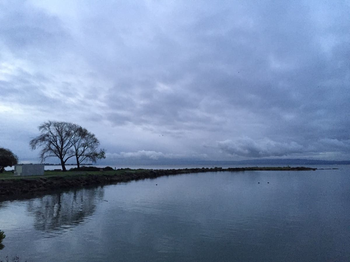 Crown Harbor, Alameda, Calif.
