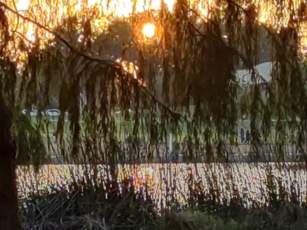 Central Park, Fremont, Calif.