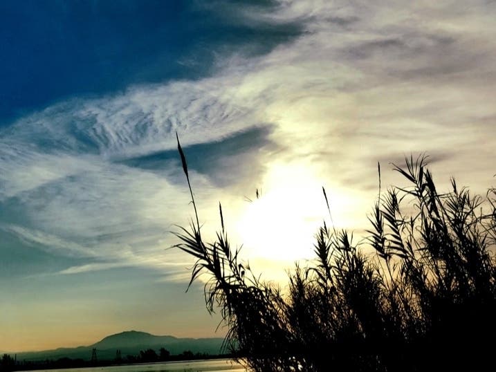 Walnut Creek, Calif.