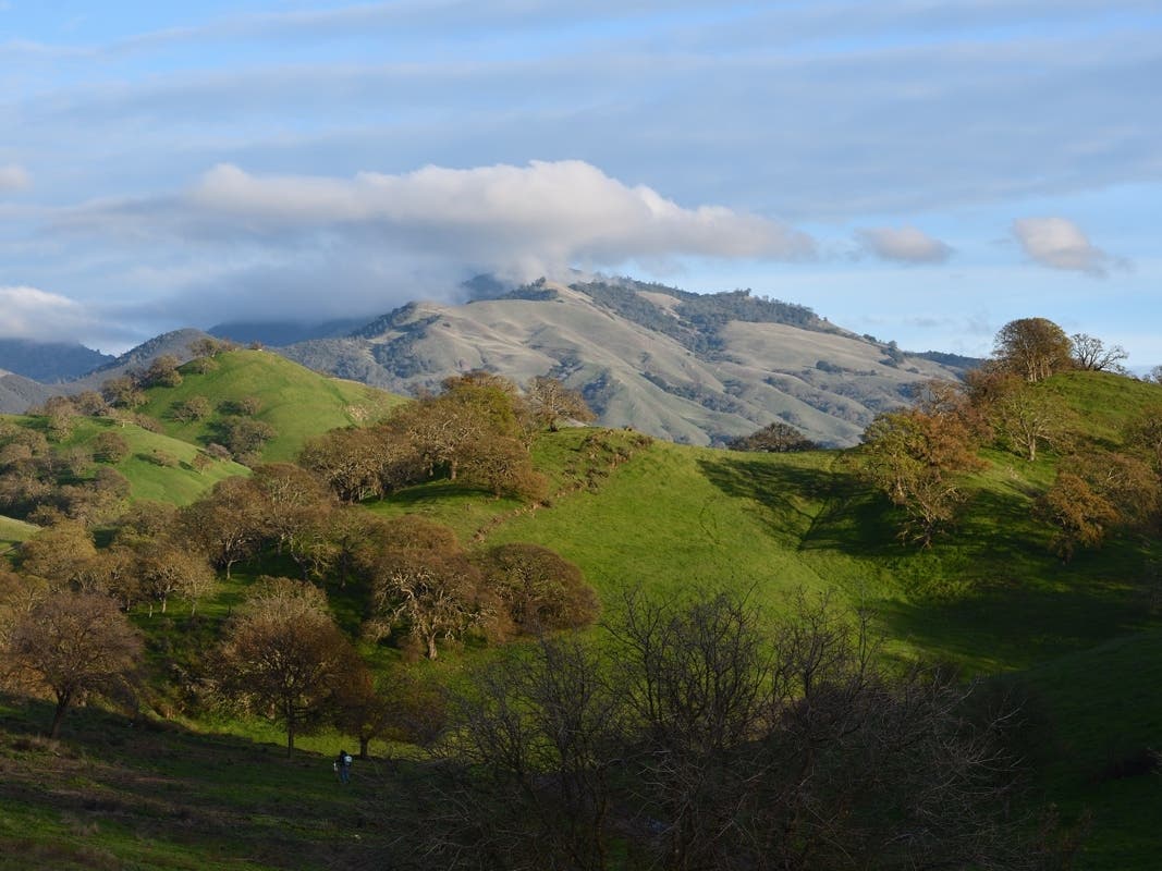 Mt. Diablo, San Francisco Bay Area, Calif.