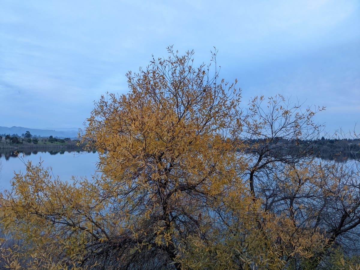 Quarry Lakes Regional Recreation Area, Fremont, Calif.