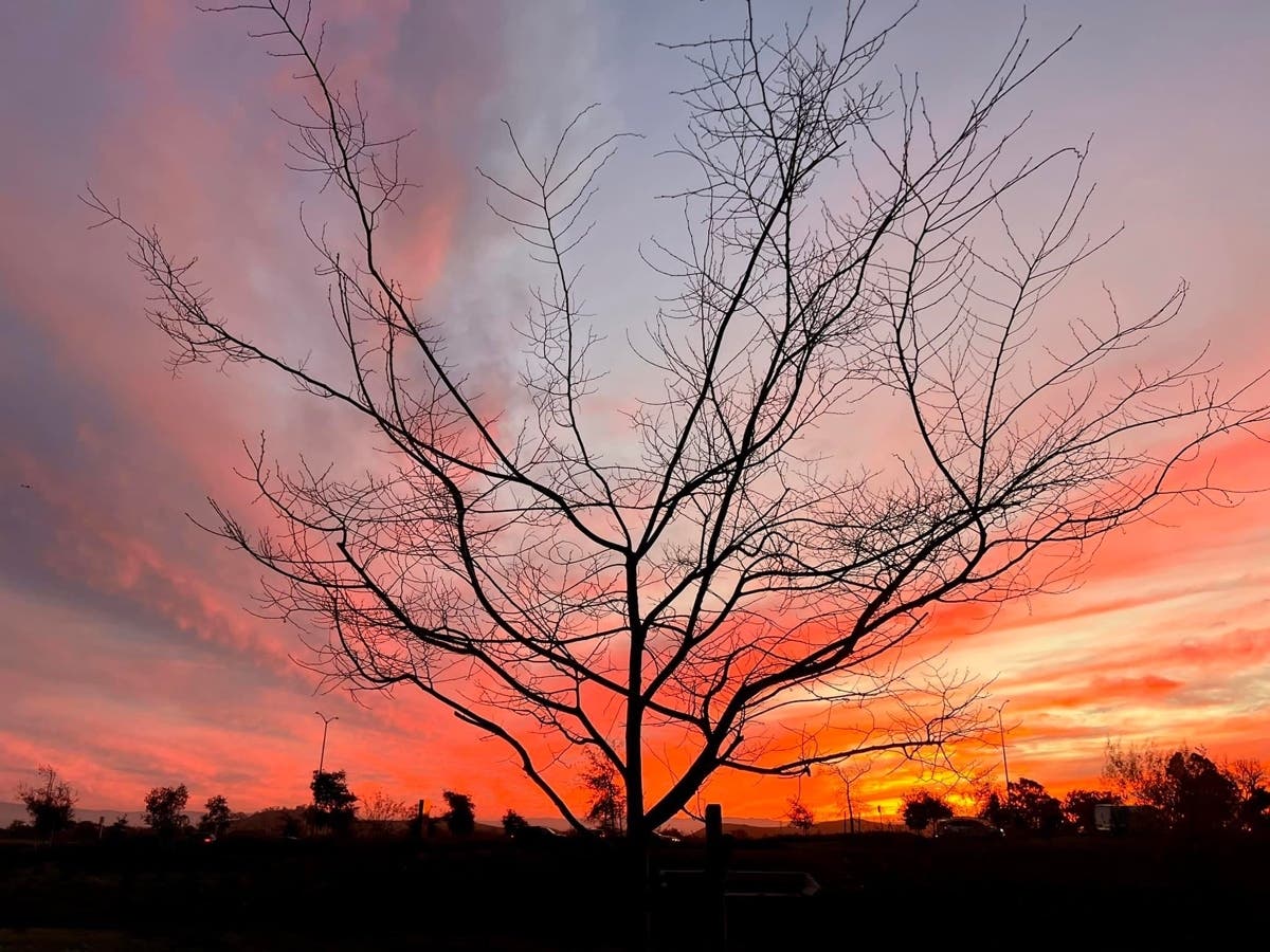 Sunset near Coyote Hills Regional Park, Fremont, Calif.