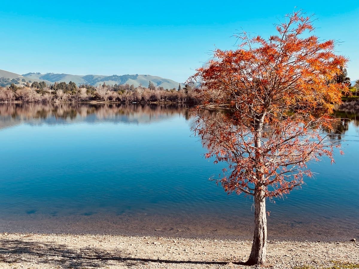 Quarry Lakes Regional Recreation Area​, Fremont, Calif.