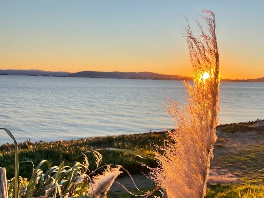 Sunset across the bay from Alameda, Calif.