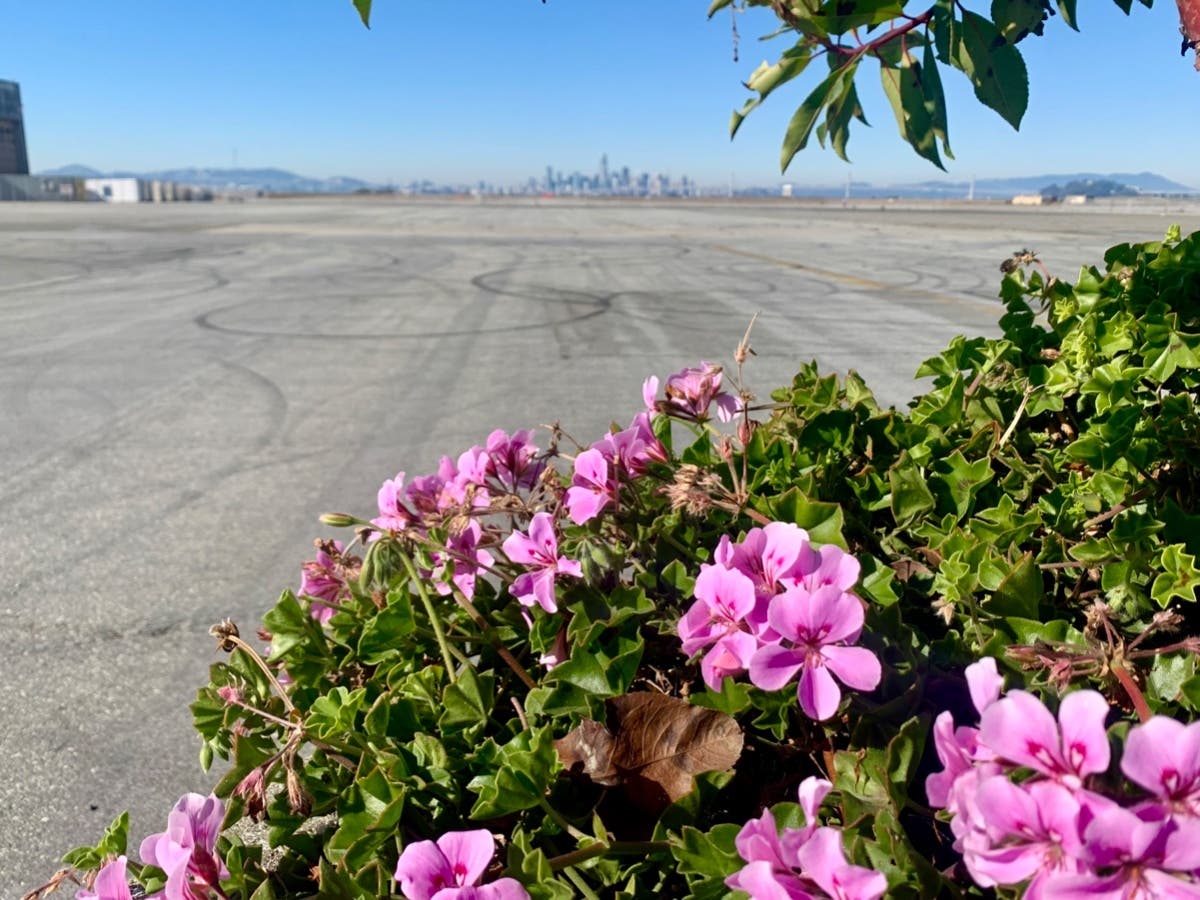 Former naval base in Alameda, Calif.
