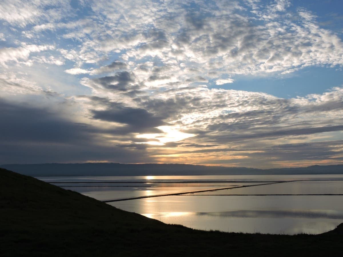 Coyote Hills Regional Park, Fremont, Calif.