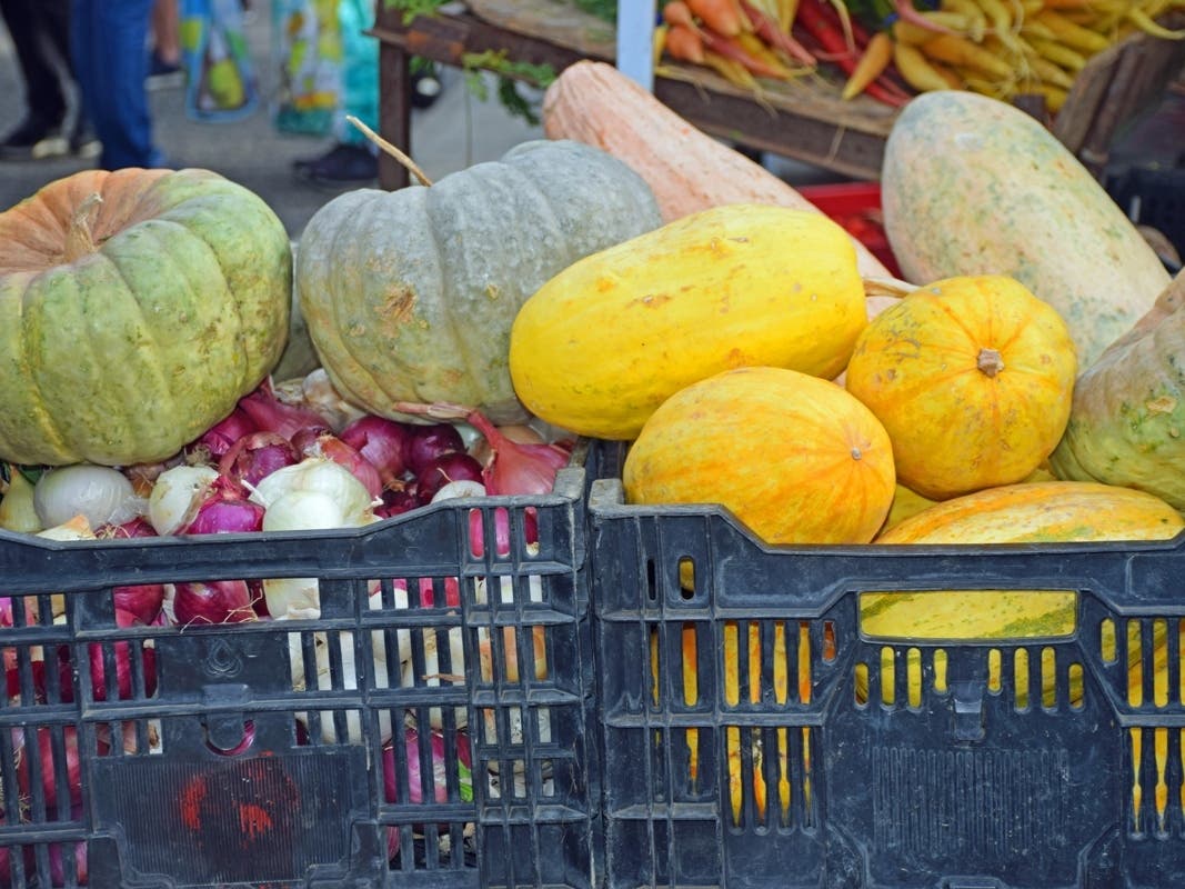 Even in the midst of winter, there is fresh produce for sale in San Francisco.
