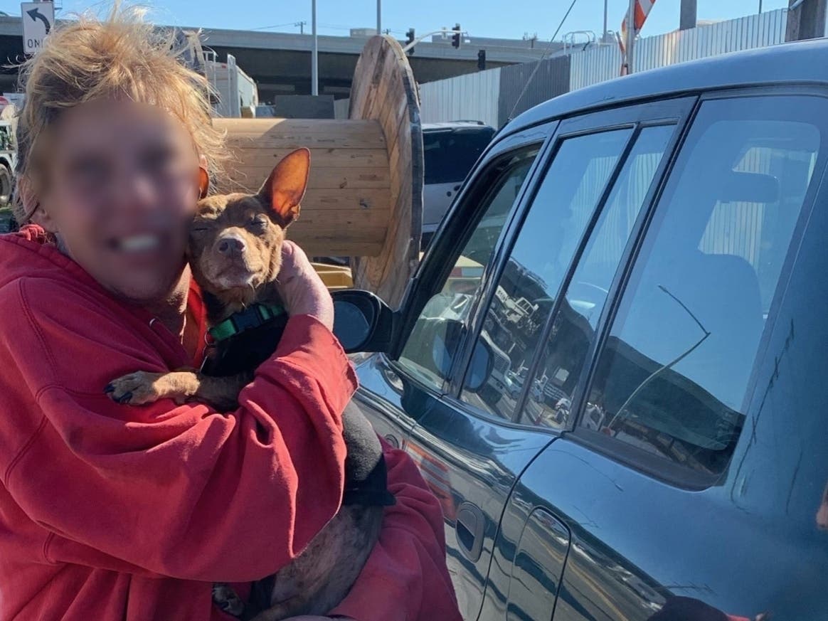 An Alameda vehicle theft ended with a pet safely returned to his owner.