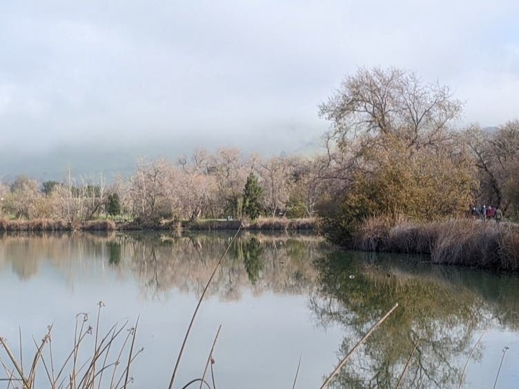 The hills are obscured by morning fog, but that did not deter local residents from taking their morning walks.
