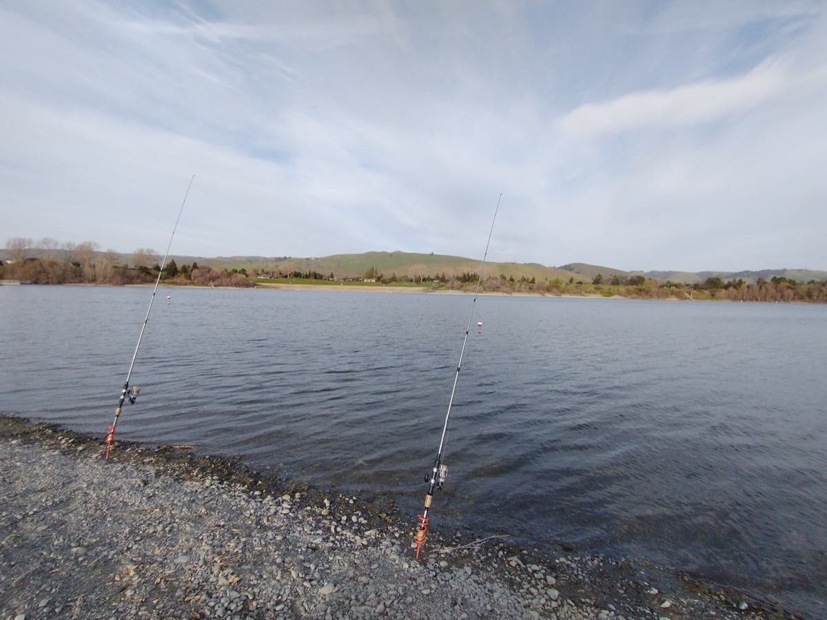 Fishing poles side-by-side at Quarry Lakes Regional Recreation Area, Fremont, Calif.