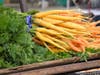 Carrots at the Farmers Market.