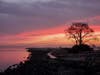 Sunset in Alameda, Calif.