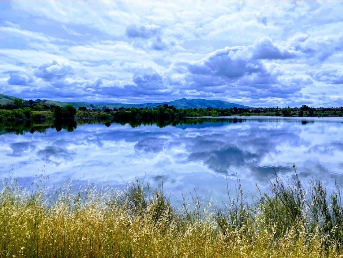 Lake Elizabeth in Central Park, Fremont, Calif.