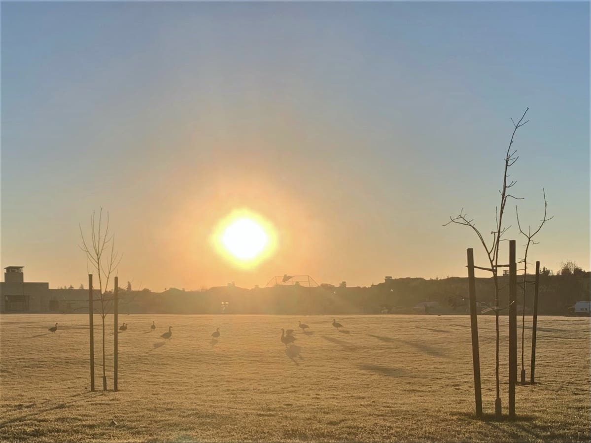Park at sunrise in Alameda, Calif.