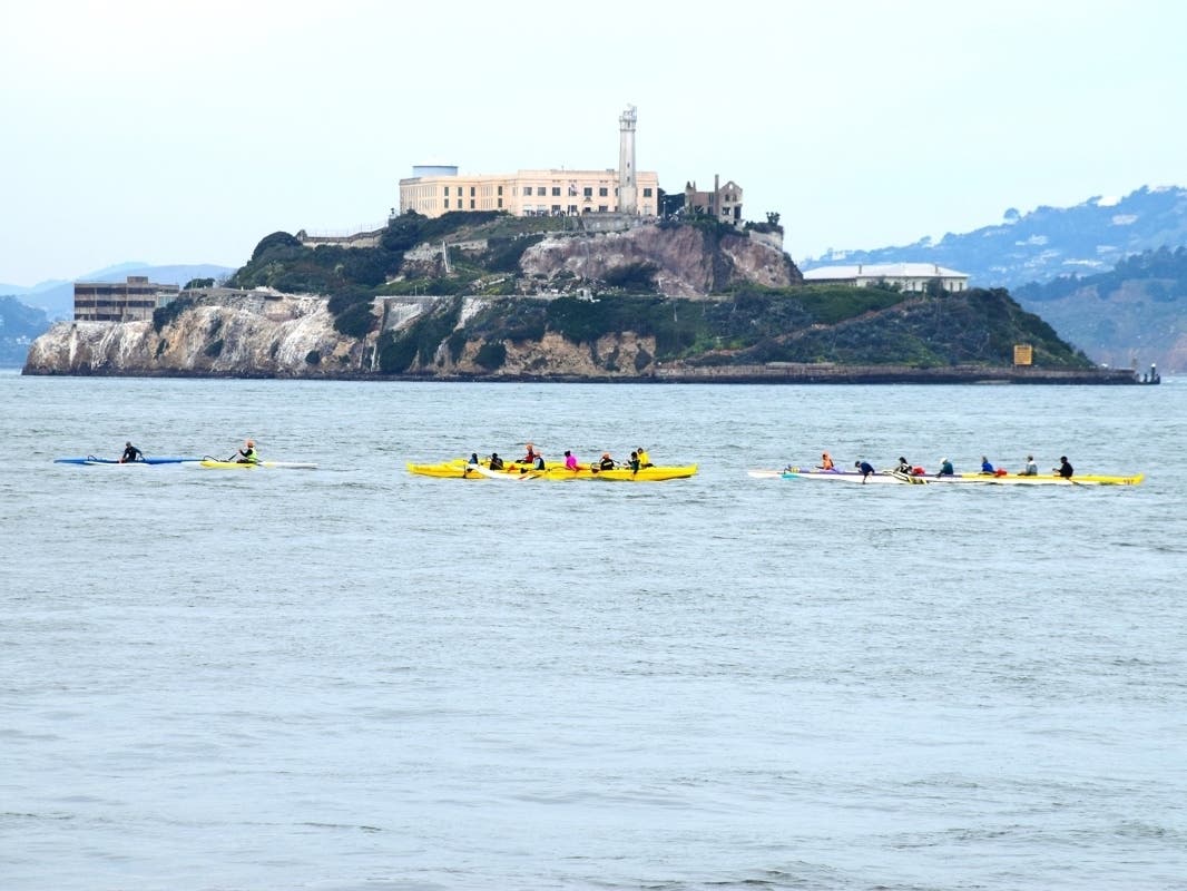 A day on San Francisco Bay.