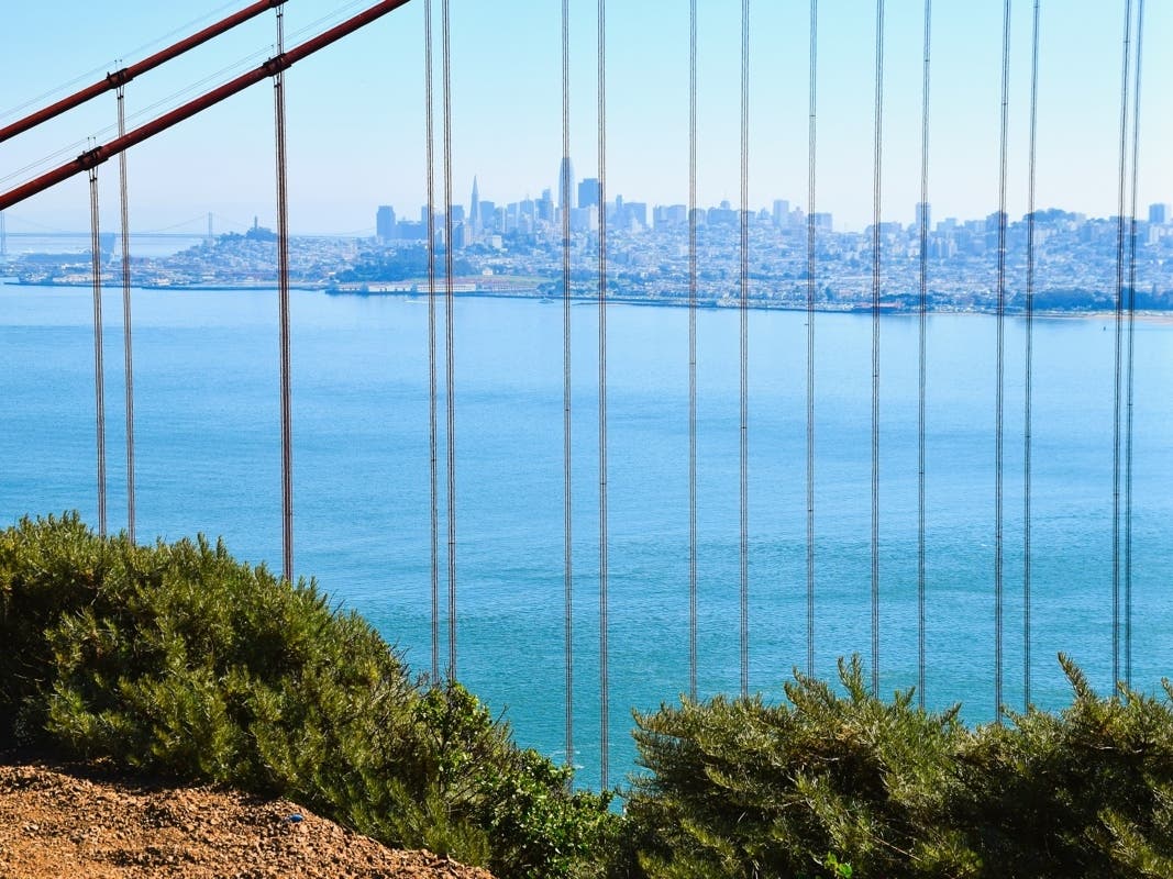 San Francisco as seen through the cables of the Golden Gate Bridge.