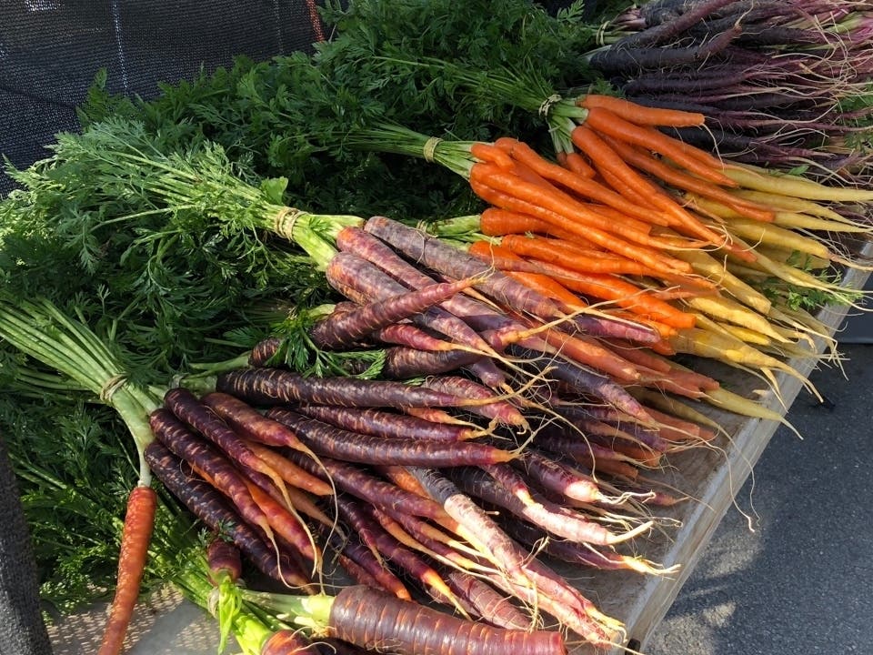 A rainbow of carrots at the farmers market.