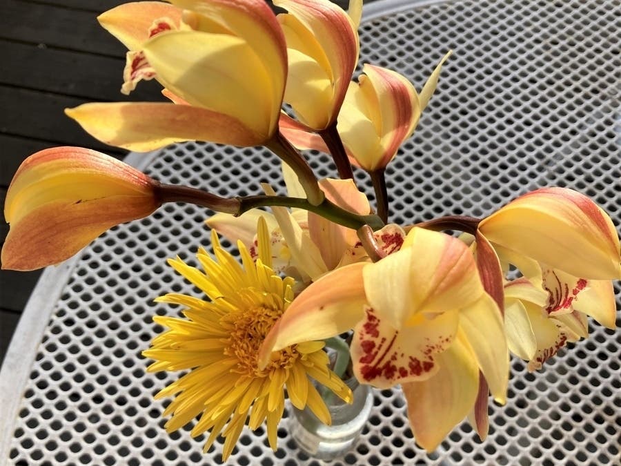 Cut flowers in San Leandro, Calif.