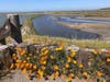 Vista scene at Coyote Hills Regional Park in Fremont, Calif., April 9, 2022.