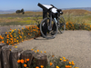Taking a break during a bike ride at Coyote Hills Regional Park in Fremont, Calif., April 9, 2022.