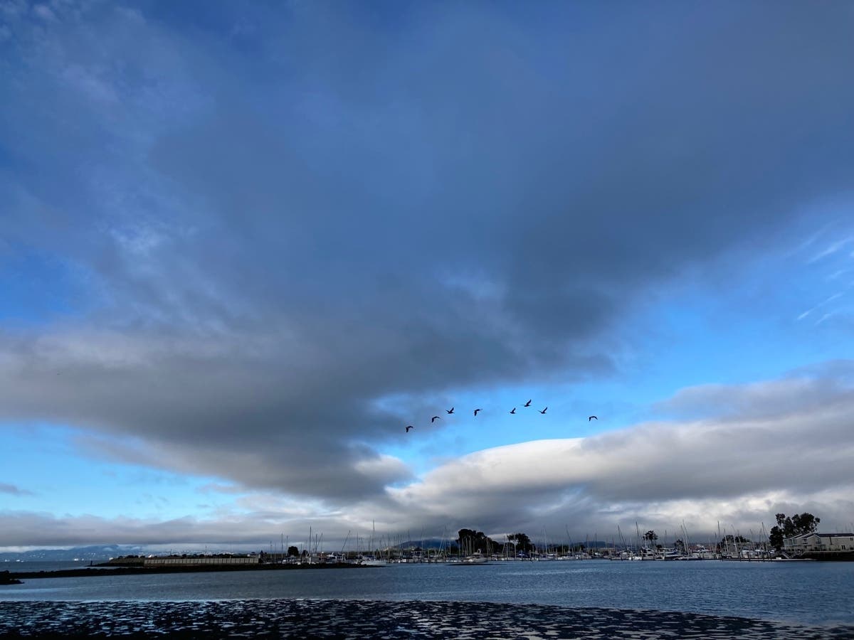 Crown Harbor in Alameda, Calif.