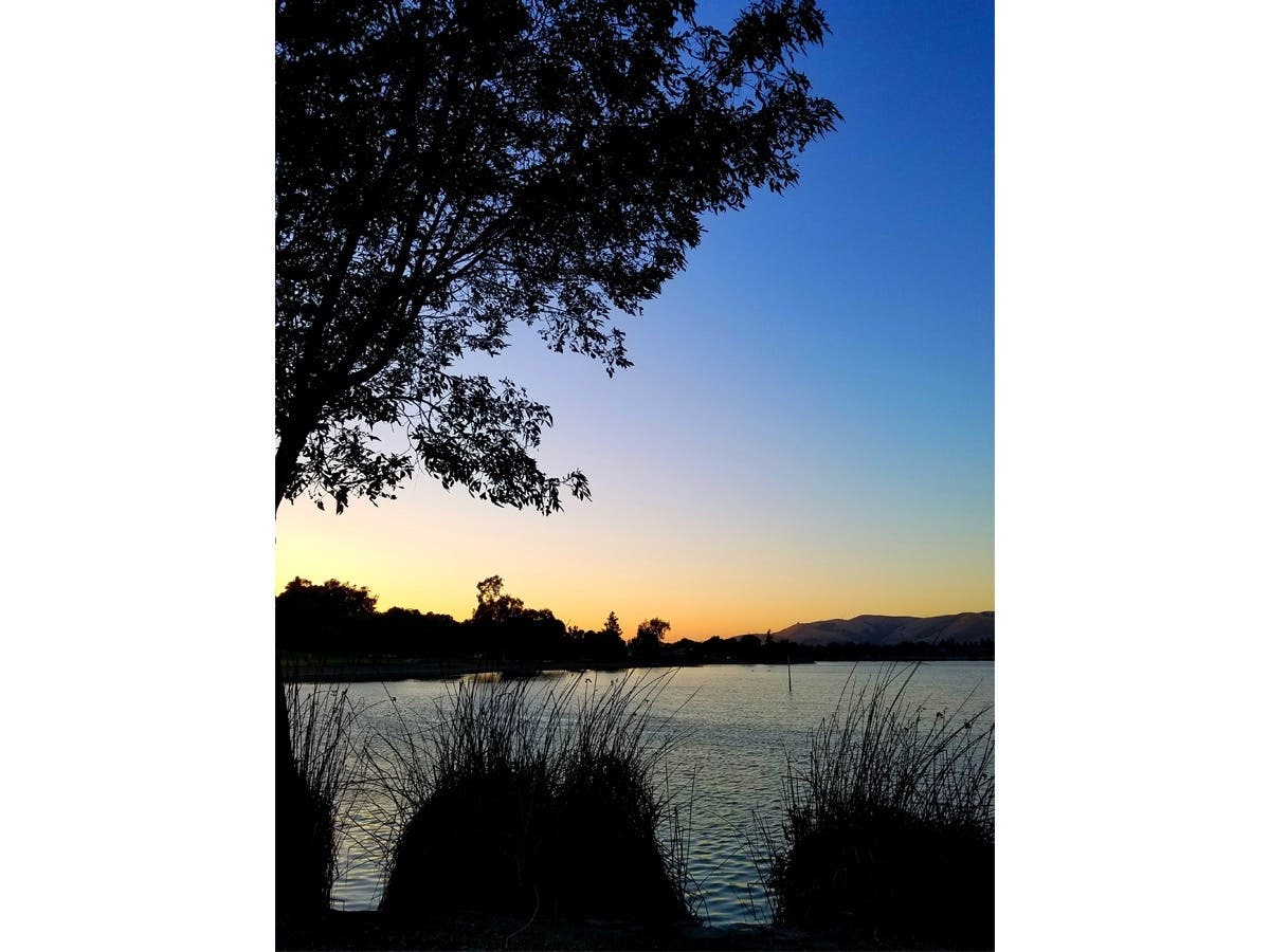 Sunset at Lake Elizabeth in Central Park, Fremont, Calif.