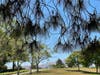 Central Park in Fremont, outside the library.
