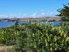 Bodega Bay, Calif.