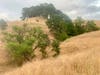 Briones Regional Park in Martinez, Calif.