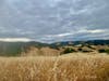 Briones Regional Park in Martinez, Calif.