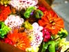 Flowers for sale at the farmers market, San Francisco, Calif.