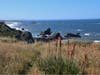  Kortum Trail in Sonoma Beach State Park.