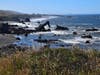 The rugged shoreline along Kortum Trail in Sonoma Beach State Park.