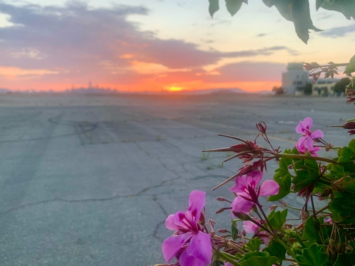 Sunset from Alameda, Calif.