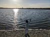 Child throwing rocks into the water at Quarry Lakes Regional Recreation Area in Fremont, Calif.