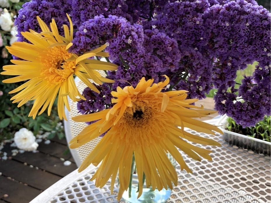 Yellow daisies and purple statice.