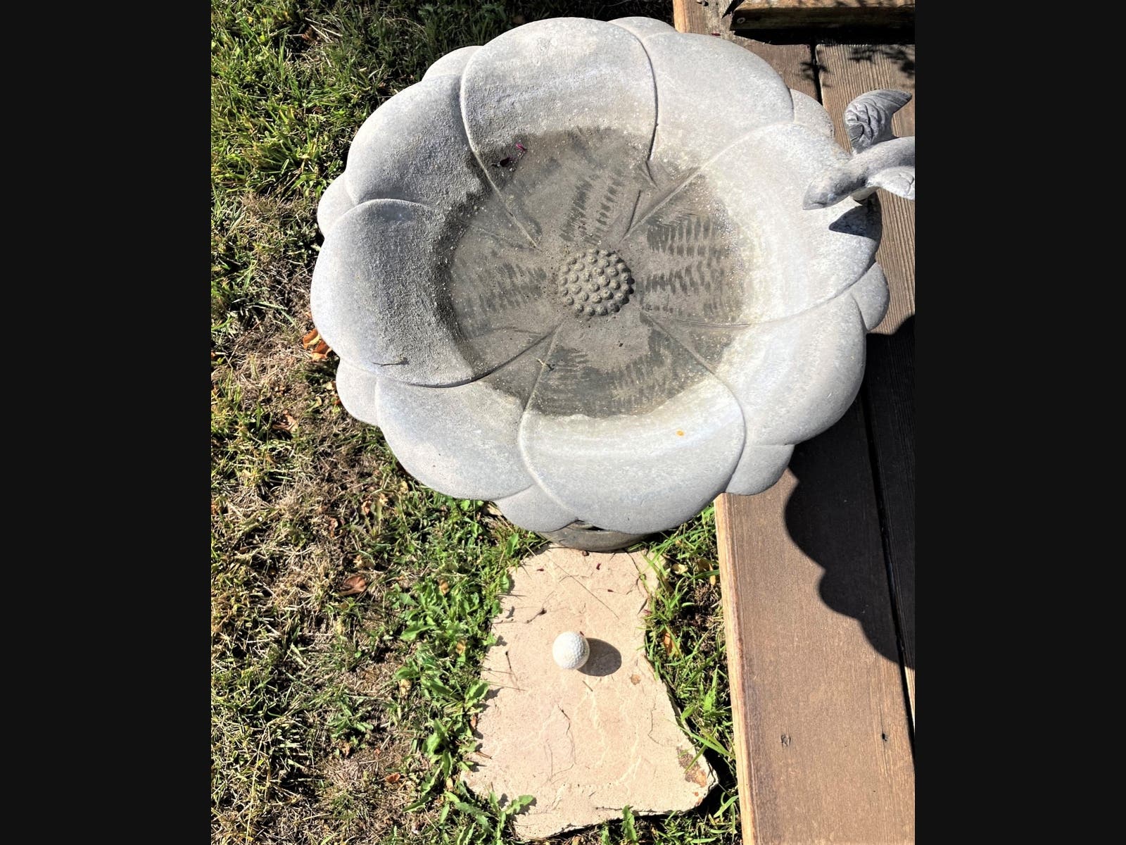 A golf ball left by a garden visitor was moved during the night.