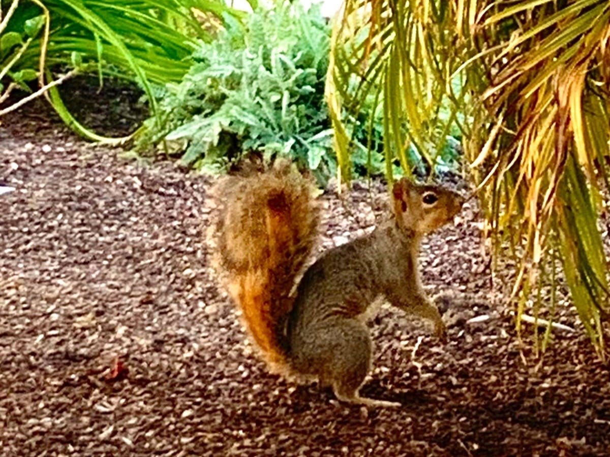There must be something around here to eat!