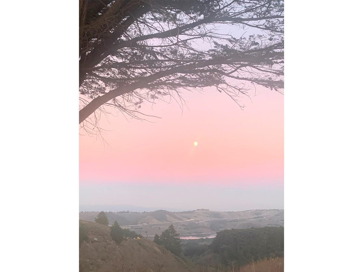 If you've driven Highway 92 to Half Moon Bay, this is a familiar sight!