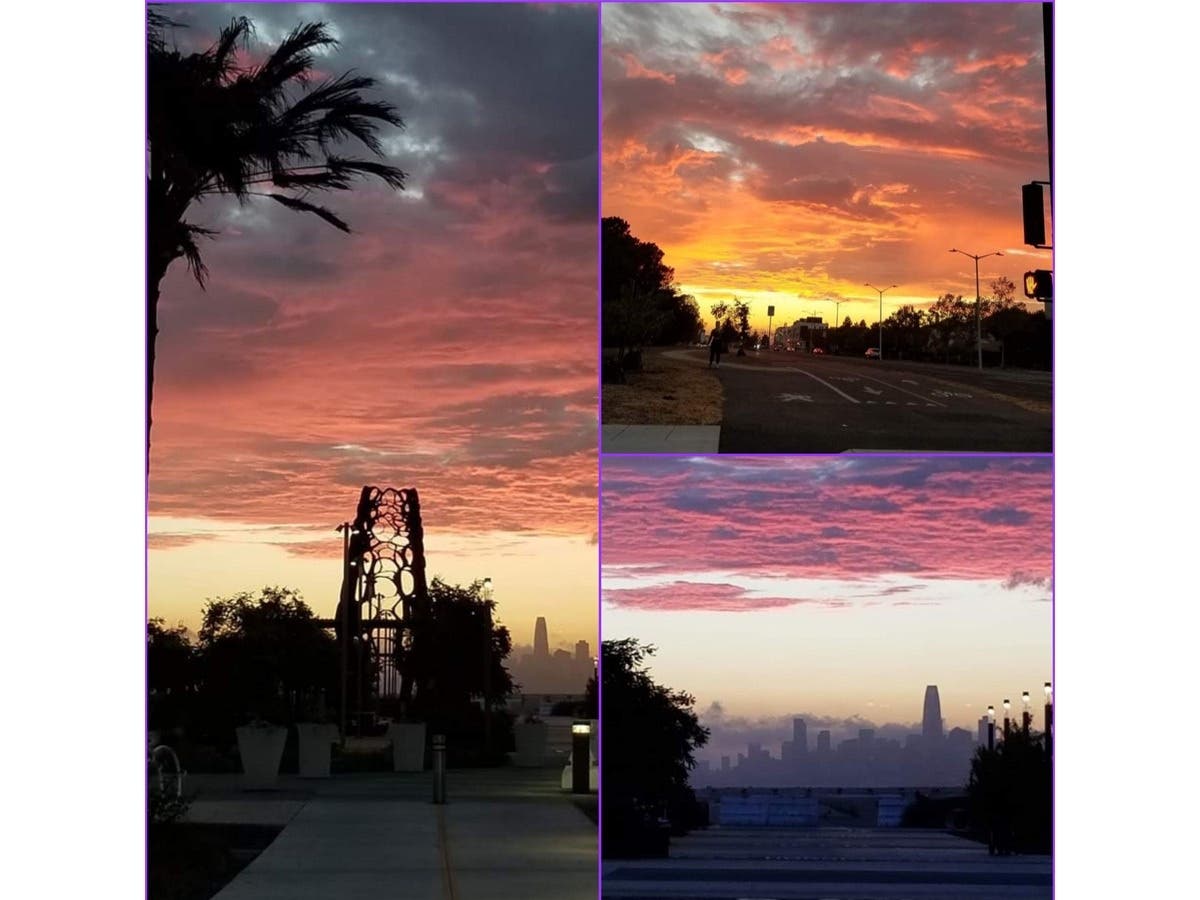 Sunset in Alameda, Calif. 