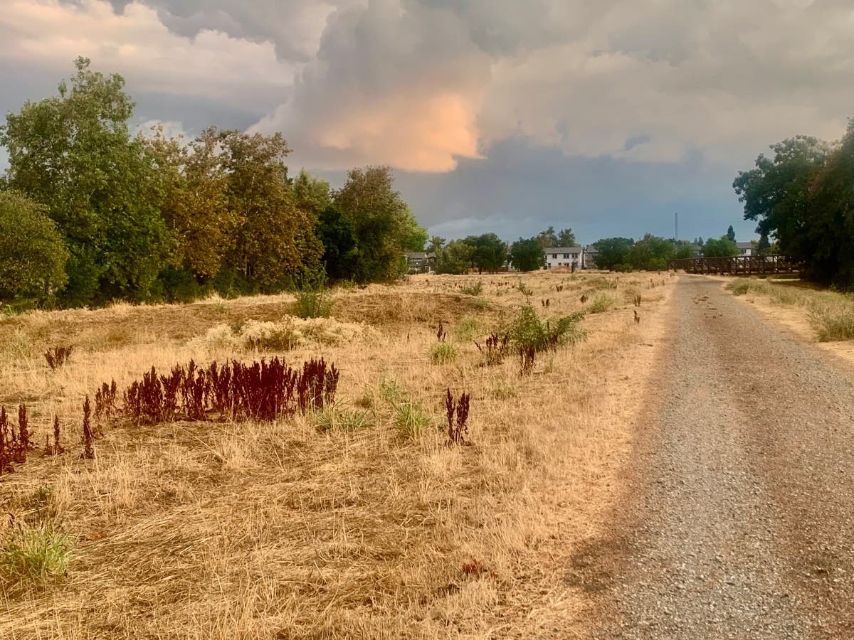 "This picture was taken in Natomas in Sacramento looking south as we were walking along the Natomas Main Drainage Canal."