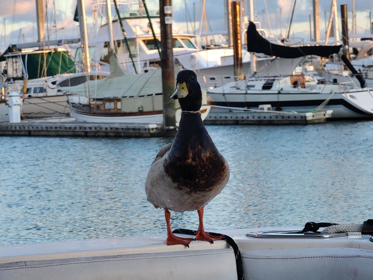 "We're reminded life goes on, the sun comes up, none of us are truly alone and nature is beautiful."