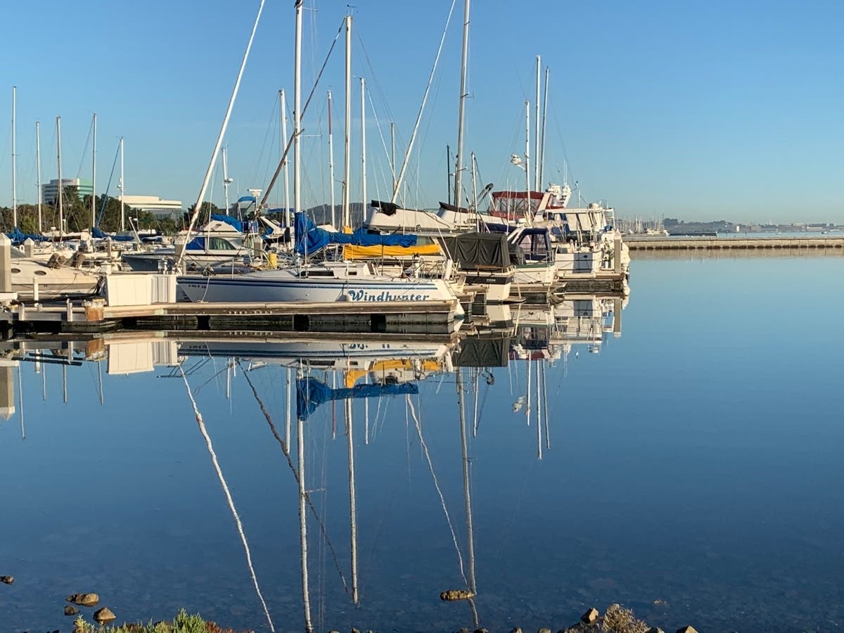 Oyster Point Marina on a clear day.