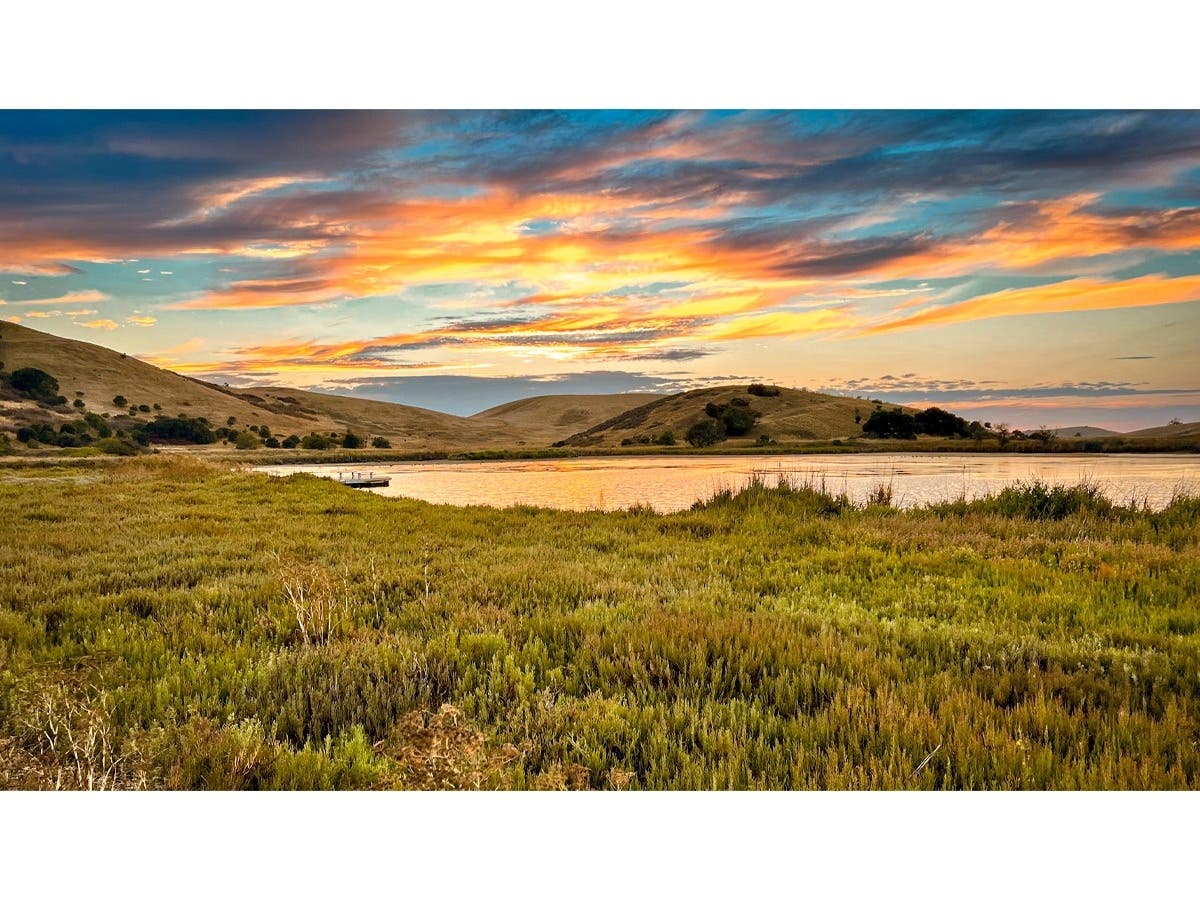 Coyote Hills Regional Park in Fremont, Calif.