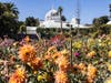 San Francisco Conservatory of Flowers.