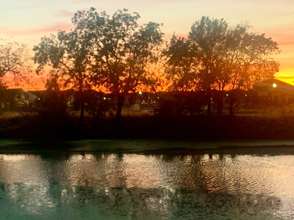 Main Natomas Drainage Canal, Sacramento, Calif.