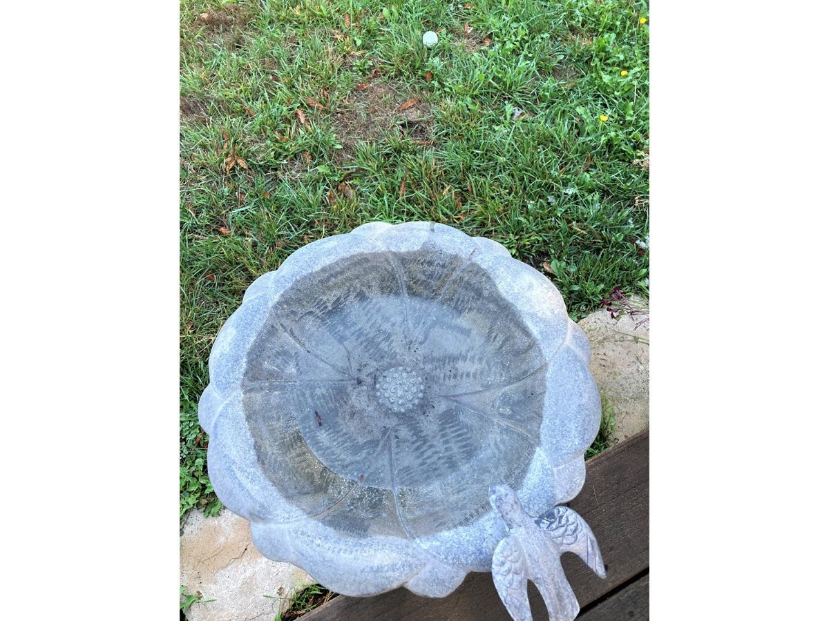 https://patch.com/img/cdn20/users/21854731/20221011/042312/styles/patch_image/public/chip-shot-bird-bath___11162126165.jpg