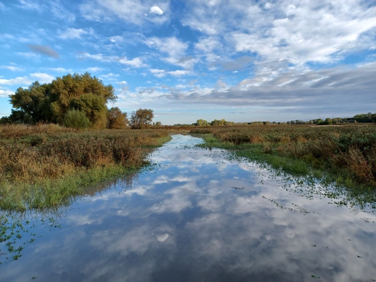 Bufferlands, Sacramento, Calif.