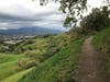 Hiking trail near Walnut Creek.